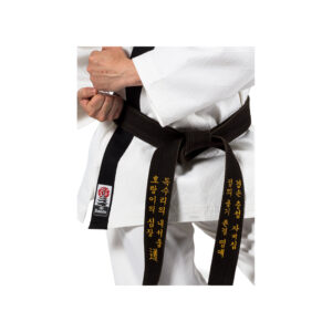 Alternative view of Hapkido Dobok Master Traditional